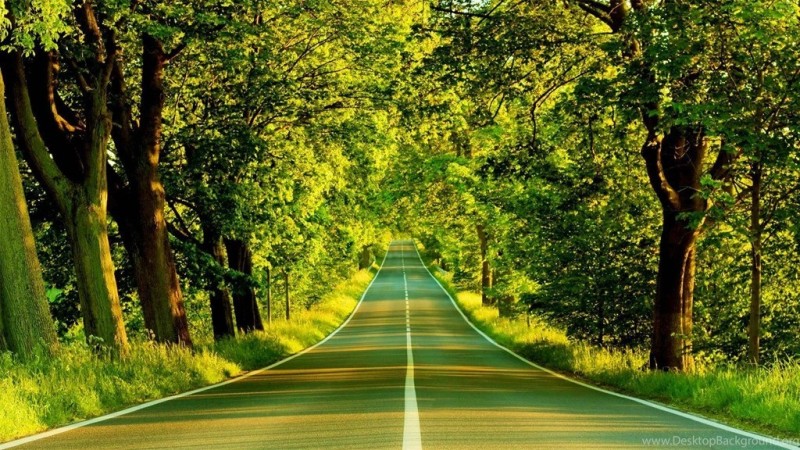 صورة_المعرض