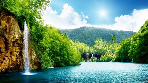 صورة_المعرض